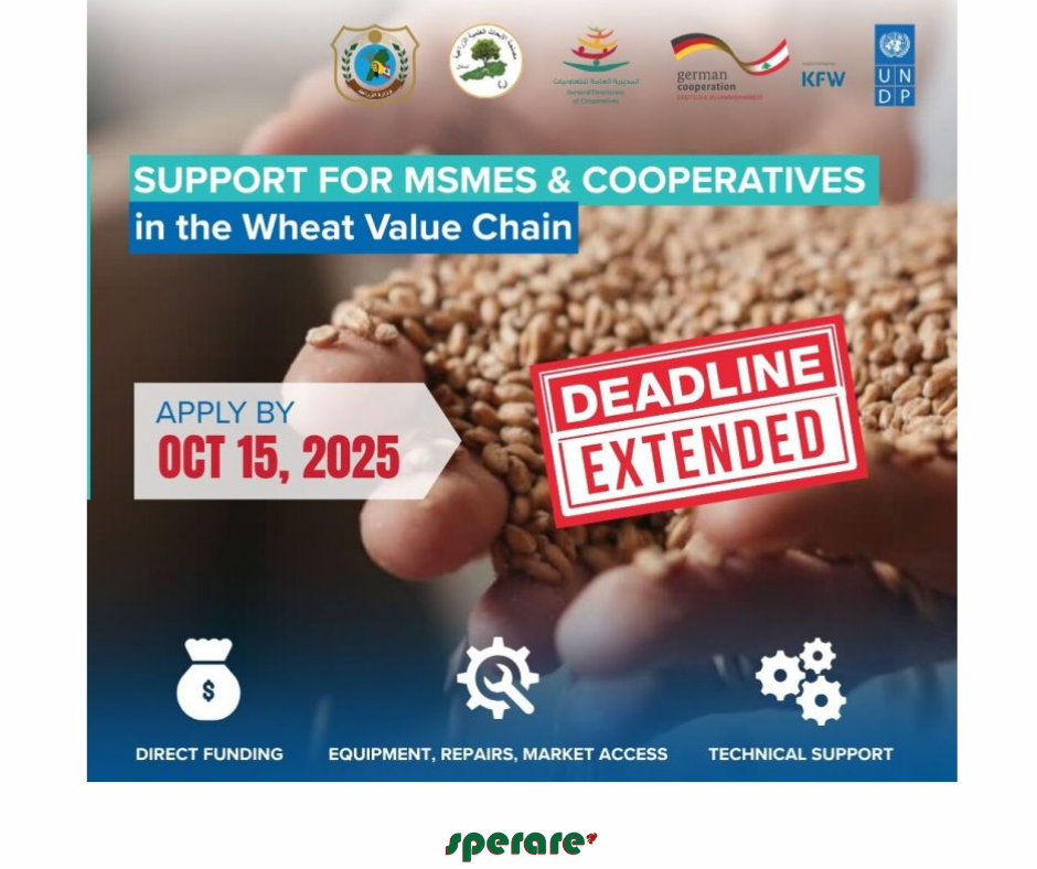 support to MSMEs 